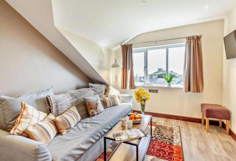 آپارتمان 1 خوابه با چشم‌انداز باغ, Lion Hotel & Studio Apartments