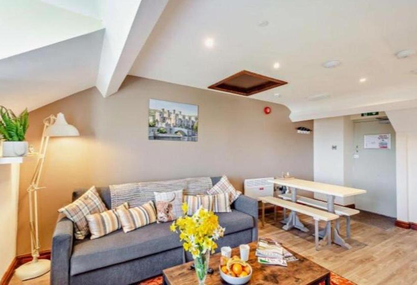 استودیوی لوکس, Lion Hotel & Studio Apartments