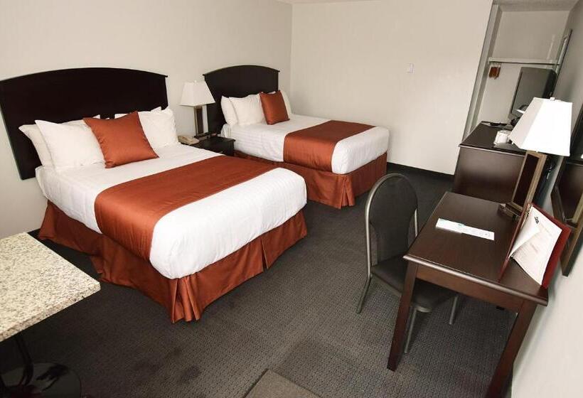 اتاق استاندارد, El Lobo Motel