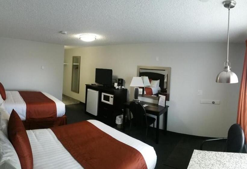 اتاق استاندارد, El Lobo Motel