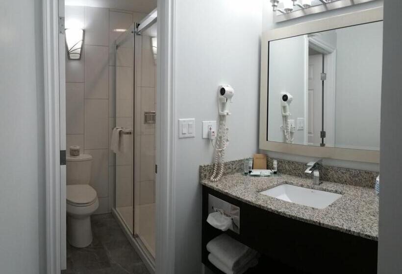 اتاق استاندارد, El Lobo Motel