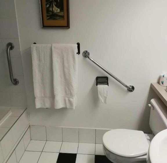 اتاق استاندارد با تخت بزرگ برای معلولان, Auberge La Camarine