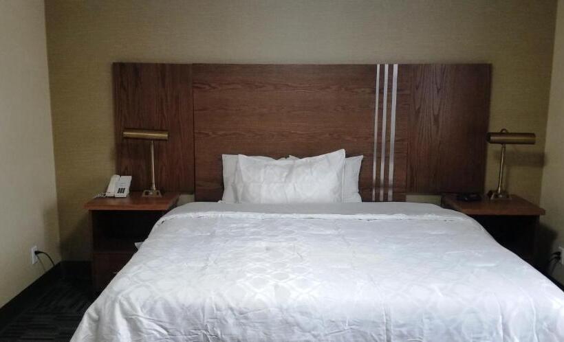اتاق استاندارد با تخت بزرگ, Baymont By Wyndham Montreal Airport