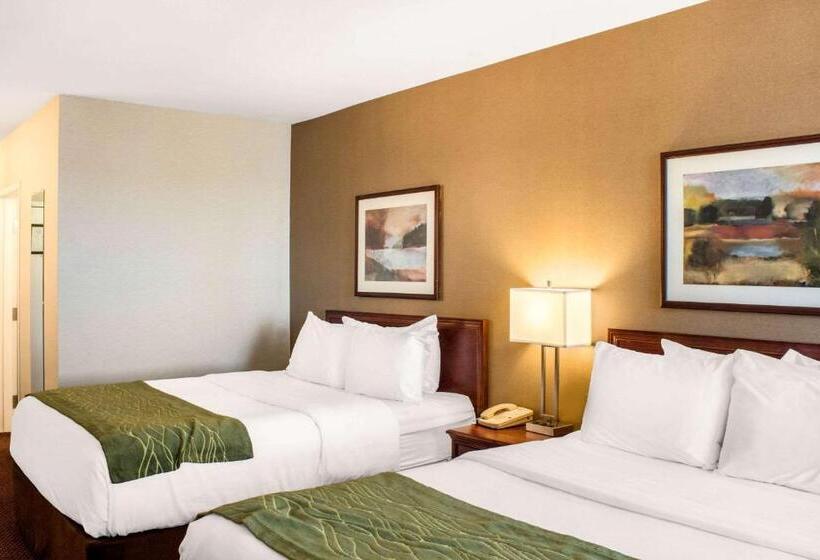 اتاق استاندارد, Comfort Inn