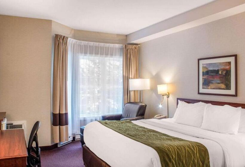 اتاق استاندارد با تخت بزرگ, Comfort Inn  Halifax