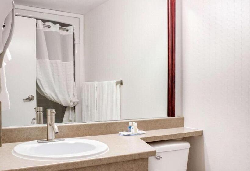اتاق استاندارد با 2 تخت دوبل, Comfort Inn