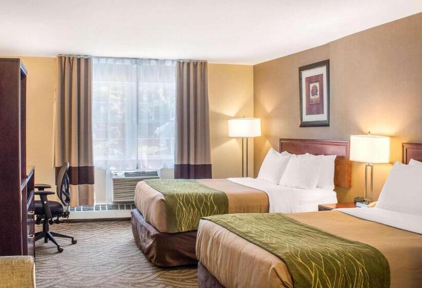 اتاق استاندارد با 2 تخت دوبل, Comfort Inn  Halifax