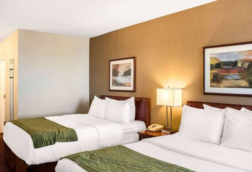 اتاق استاندارد با 2 تخت دوبل, Comfort Inn