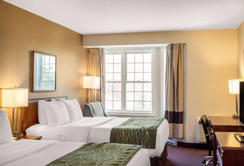 اتاق استاندارد با 2 تخت دوبل, Comfort Inn  Halifax