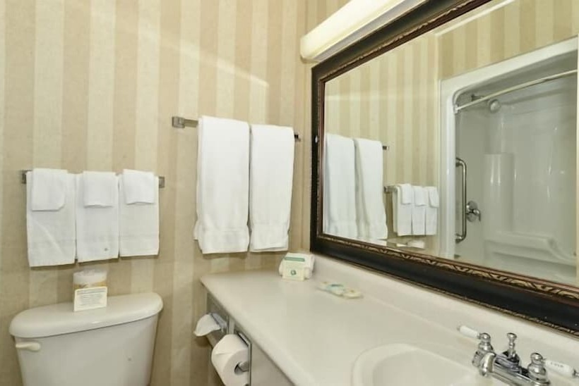 سوییت, Comfort Inn