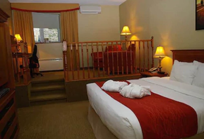 اتاق اجرایی, Comfort Inn  Mont Laurier