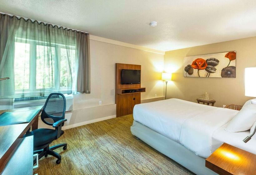 اتاق اجرایی, Comfort Inn  Mont Laurier