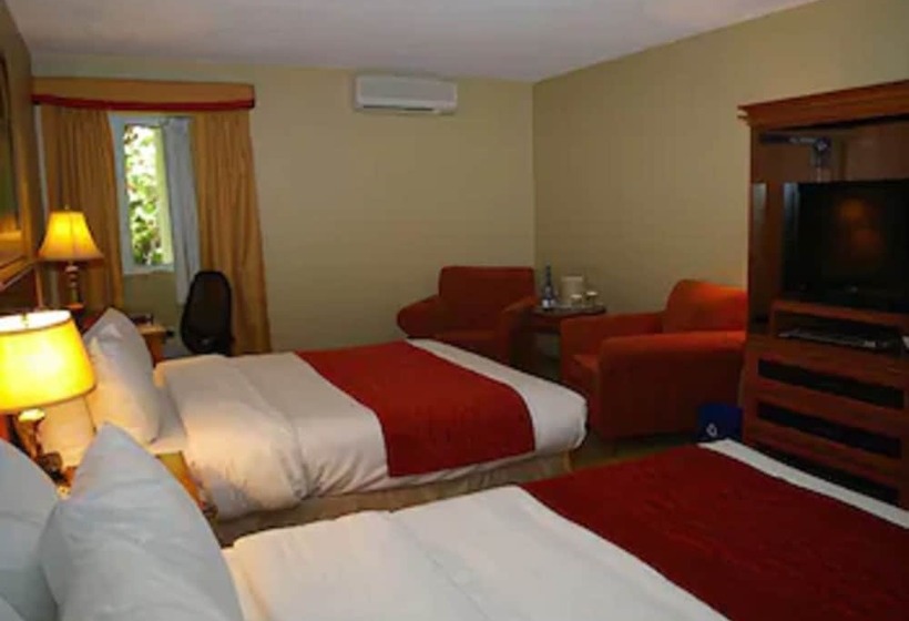 اتاق اجرایی, Comfort Inn  Mont Laurier