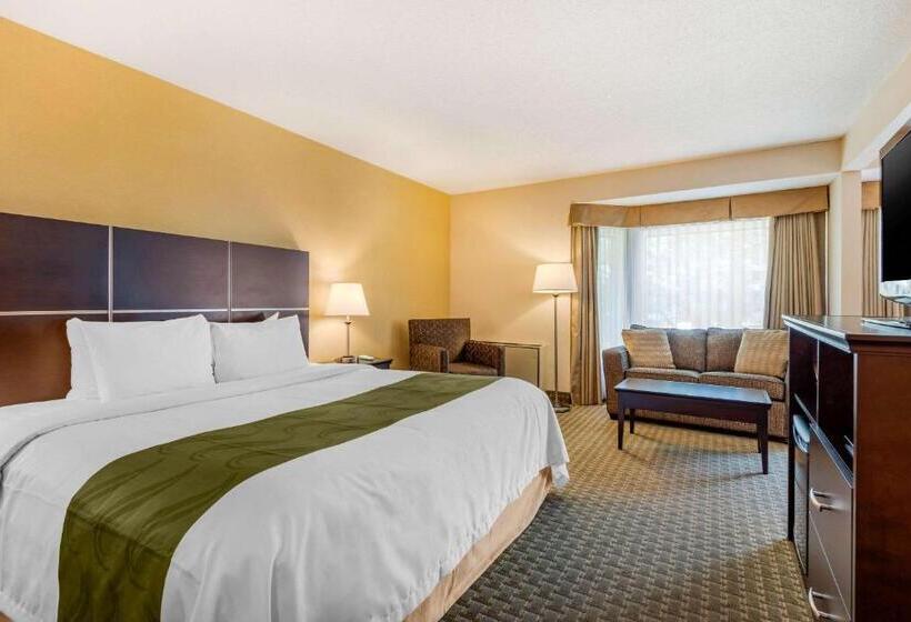 Suite Kingsize Bett, Quality Inn & Suites Brampton