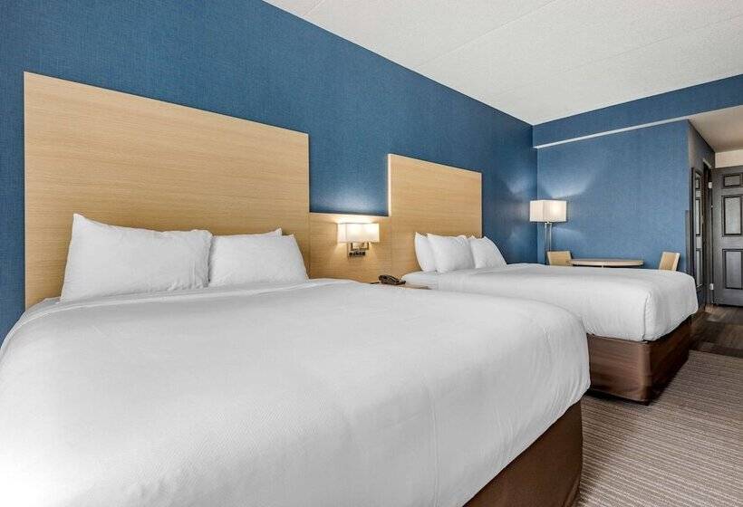 سوییت, Quality Inn & Suites