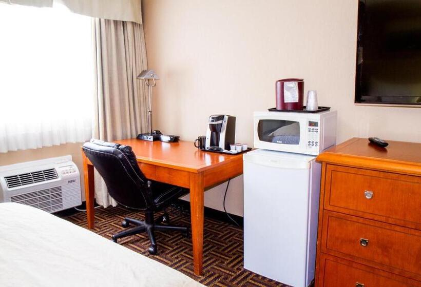 Standard Room King Size Bed, Wyndham Garden Medicine Hat Conference Center