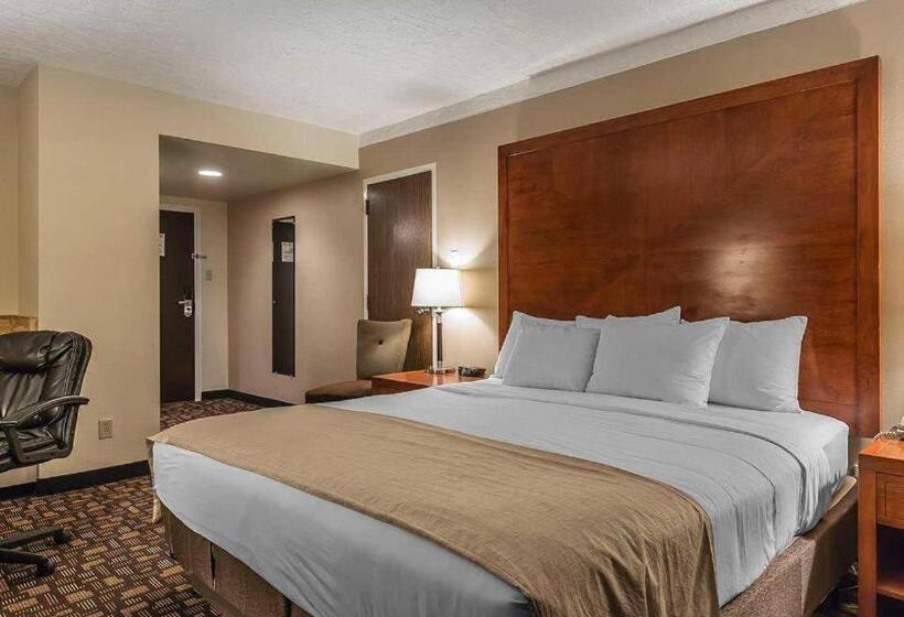 Quarto Standard Cama King, Wyndham Garden Medicine Hat Conference Center