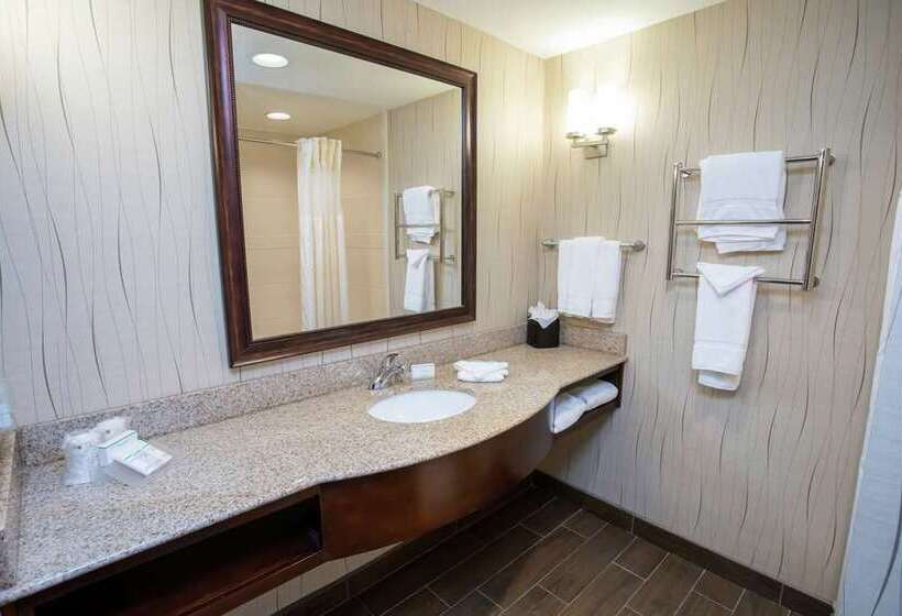 سوئیت جونیور با تخت بزرگ, Hilton Vancouver Airport
