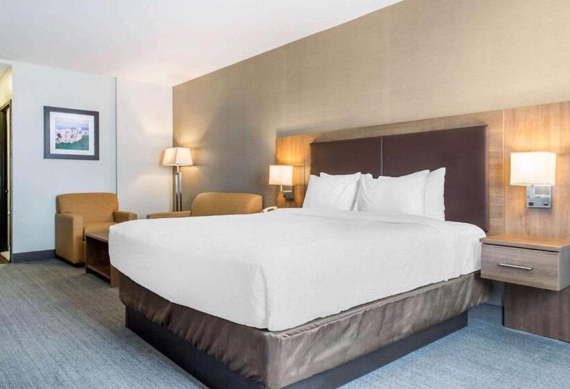 اتاق اجرایی با تخت بزرگ, Quality Hotel Dorval Aeroport