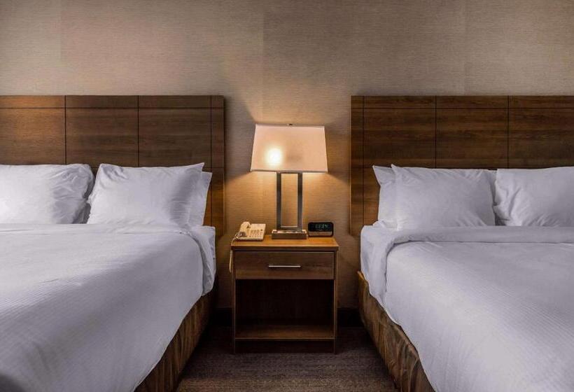 اتاق استاندارد, Quality Hotel Dorval Aeroport
