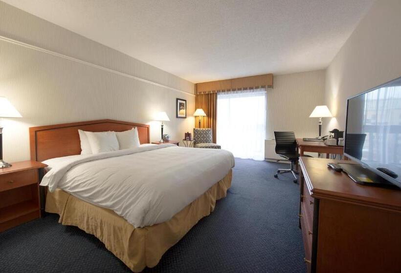 اتاق استاندارد با تخت بزرگ, Toronto Don Valley Hotel And Suites