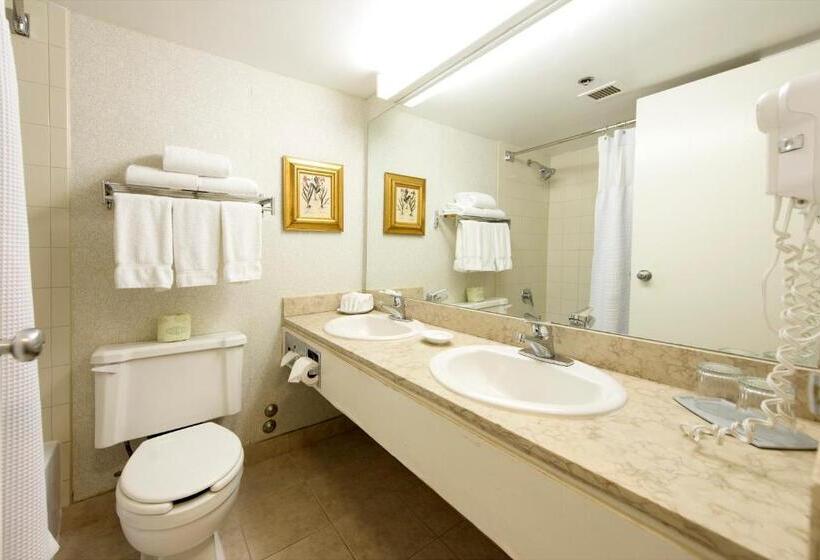 اتاق استاندارد با تخت بزرگ, Toronto Don Valley Hotel And Suites