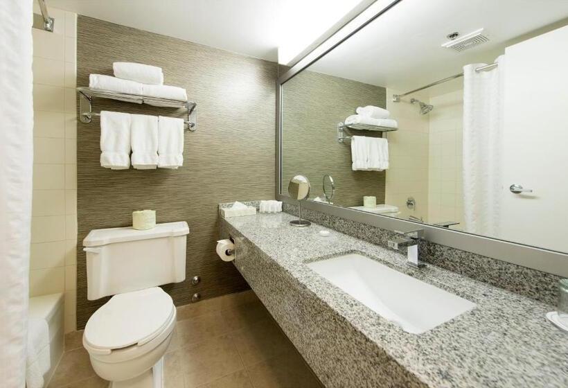 اتاق لوکس با بالکن, Toronto Don Valley Hotel And Suites