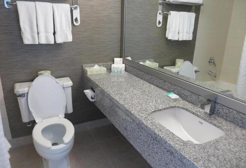 سوئیت با تخت بزرگ, Toronto Don Valley Hotel And Suites