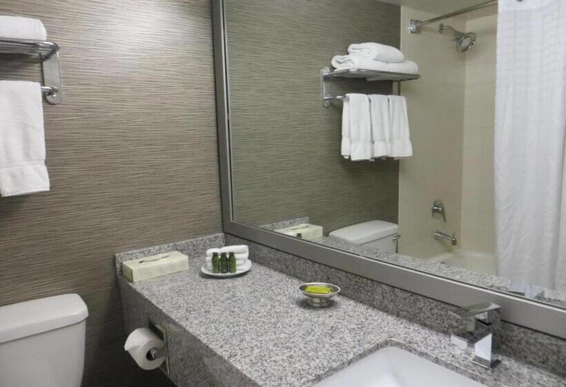 سوئیت با تخت بزرگ, Toronto Don Valley Hotel And Suites