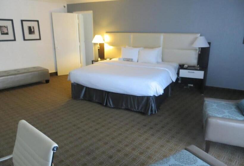 سوئیت با تخت بزرگ, Toronto Don Valley Hotel And Suites