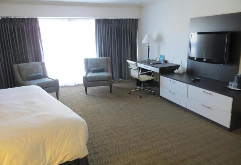 سوئیت با تخت بزرگ, Toronto Don Valley Hotel And Suites