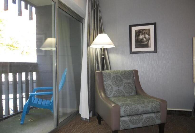سوییت, Toronto Don Valley Hotel And Suites