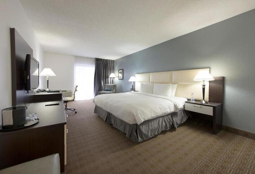 اتاق لوکس با تخت بزرگ, Toronto Don Valley Hotel And Suites
