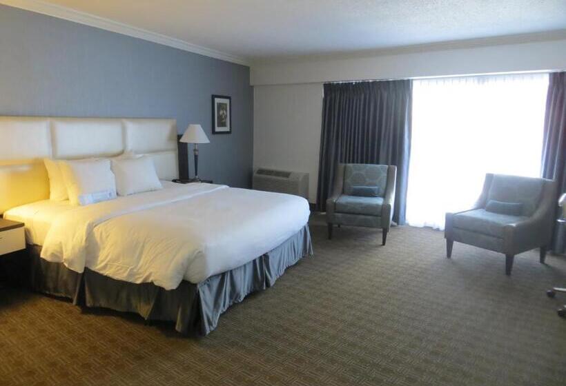 اتاق لوکس با تخت بزرگ, Toronto Don Valley Hotel And Suites