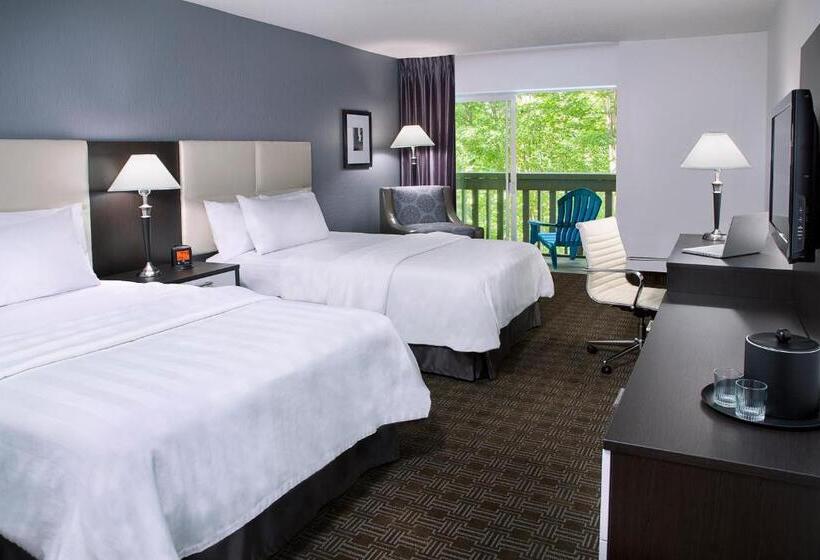 سوییت, Toronto Don Valley Hotel And Suites