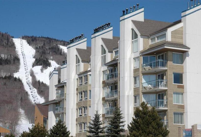 آپارتمان 1 خوابه, Hebergement Montsteanne Condos