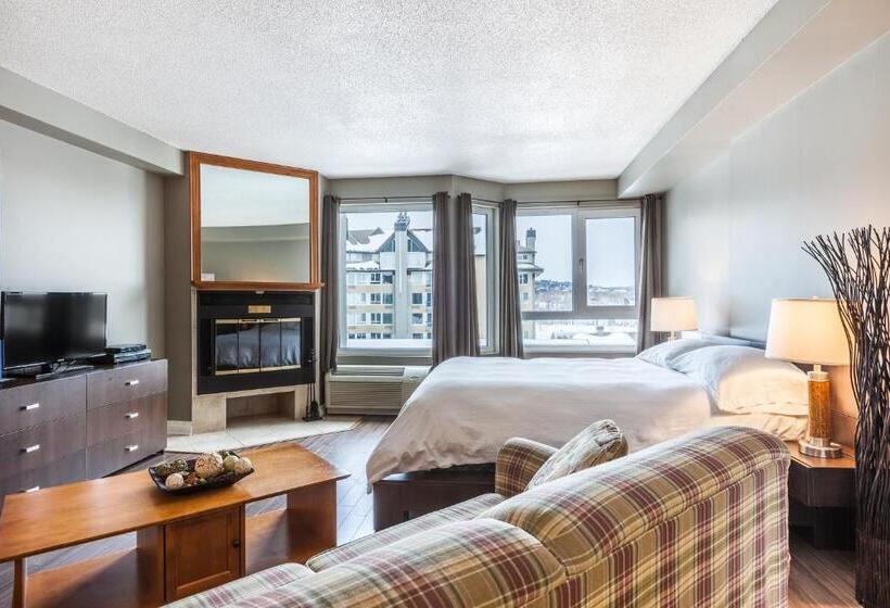 آپارتمان سوپریور 1 خوابه, Hebergement Montsteanne Condos