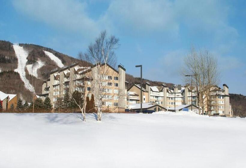 آپارتمان سوپریور 1 خوابه, Hebergement Montsteanne Condos