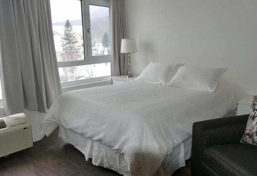 آپارتمان سوپریور 1 خوابه, Hebergement Montsteanne Condos
