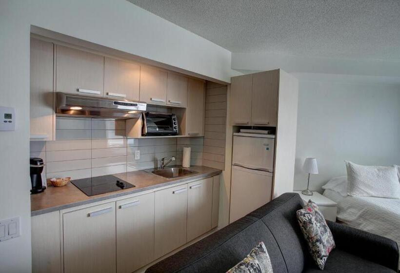 آپارتمان سوپریور 1 خوابه, Hebergement Montsteanne Condos