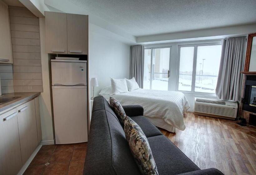 آپارتمان سوپریور 1 خوابه, Hebergement Montsteanne Condos