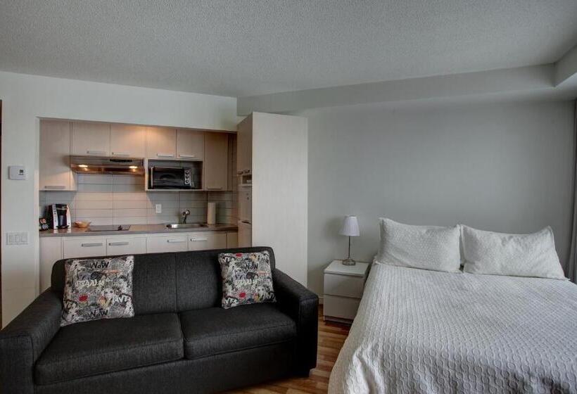 آپارتمان سوپریور 1 خوابه, Hebergement Montsteanne Condos