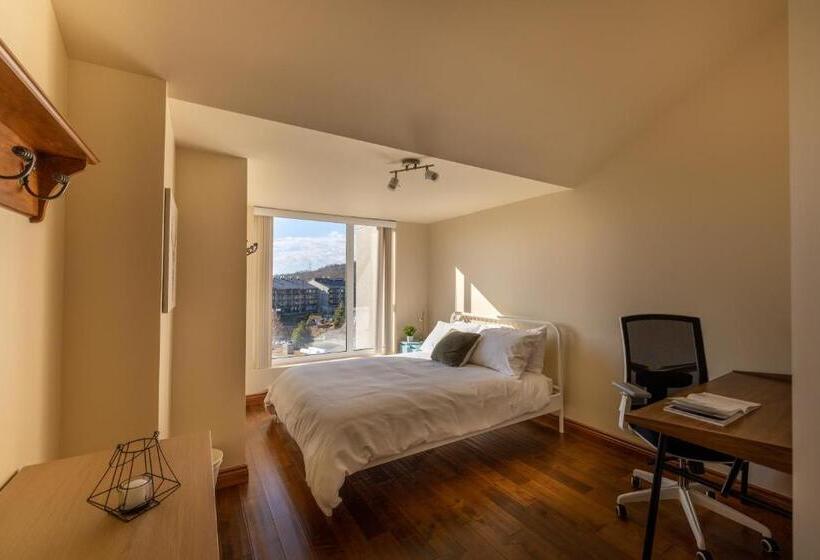 سوییت خانوادگی, Hebergement Montsteanne Condos