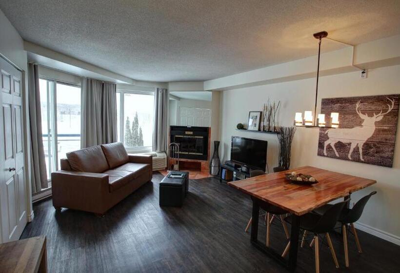 آپارتمان 1 خوابه با بالکن, Hebergement Montsteanne Condos