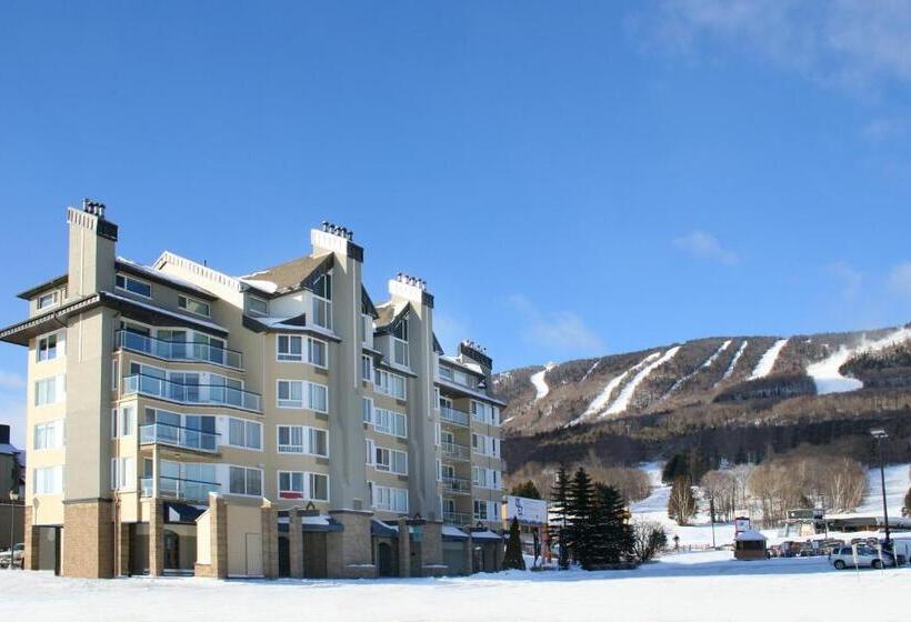آپارتمان 1 خوابه, Hebergement Montsteanne Condos