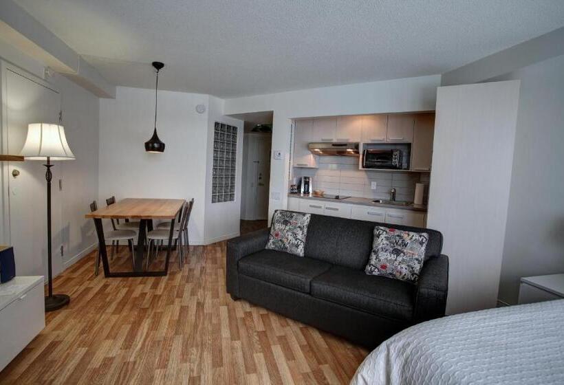 آپارتمان سوپریور 1 خوابه, Hebergement Montsteanne Condos