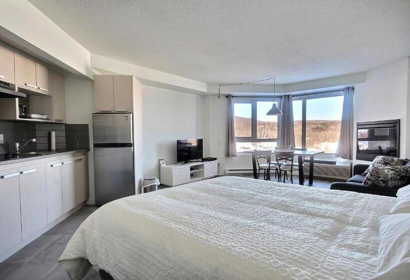 آپارتمان سوپریور 1 خوابه, Hebergement Montsteanne Condos