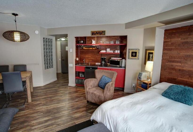 آپارتمان سوپریور 1 خوابه, Hebergement Montsteanne Condos