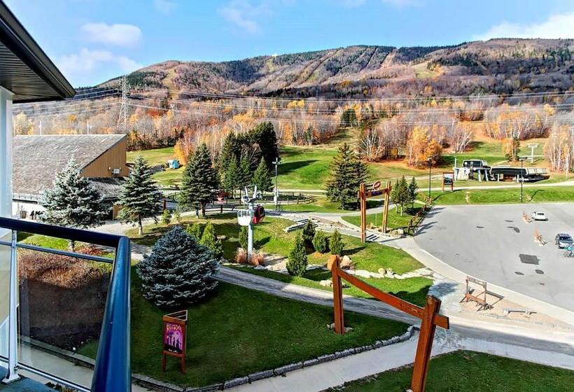 سوییت خانوادگی, Hebergement Montsteanne Condos
