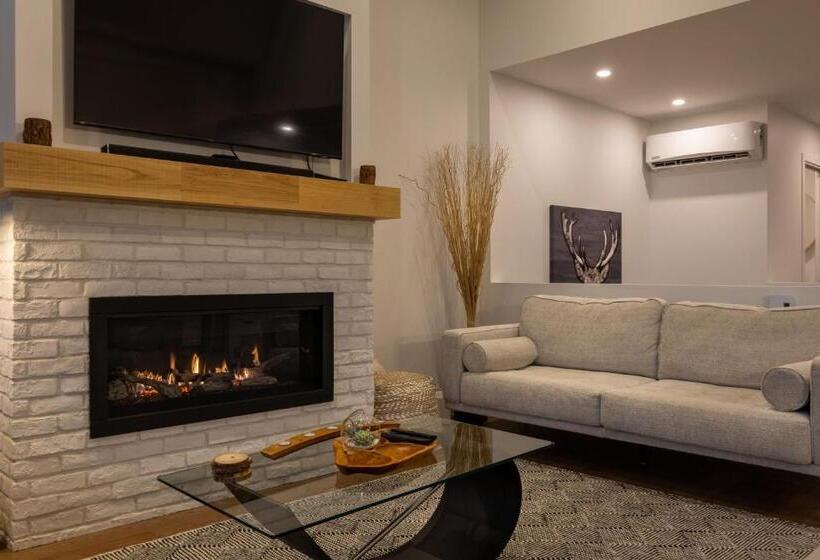 ویلای سوپریور 1 خوابه, Hebergement Montsteanne Condos